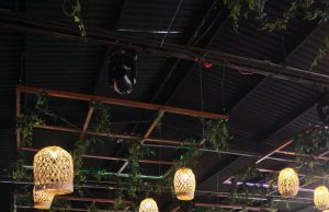 INICIA FENAPO CON LA COMERCIALIZACION DE ESPACIOS PARA CENTROS NOCTURNOS Y RESTAURANTES