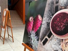 TODO FEBRERO EXPOSICIÓN FOTOGRÁFICA “DEL ELIXIR DE LOS DIOSES A LA MEZCALERÍA”