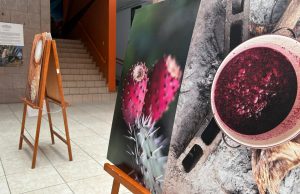 TODO FEBRERO EXPOSICIÓN FOTOGRÁFICA “DEL ELIXIR DE LOS DIOSES A LA MEZCALERÍA”