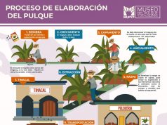 Febrero mes del pulque