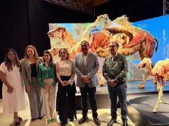 LLEGA BODY WORLDS AL MUSEO LABERINTO