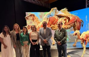 LLEGA BODY WORLDS AL MUSEO LABERINTO