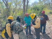 AVANZA EL CONTROL DE INCENDIOS EN SLP