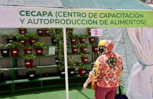 ASESORIA PARA AUTOPRODUCCIÓN DE ALIMENTOS OFRECE DIF ESTATAL EN FERIA DE LAS FLORES