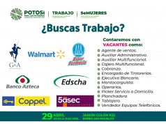 OPORTUNIDADES LABORALES PARA MUJERES