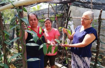 SLP PARTICIPARÁ EN FESTIVAL NACIONAL DE ORQUÍDEAS DONDE XILITLA ES MUNICIPIO INVITADO
