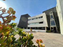 ¡IPBA PRESENTA SUS TALLERES DE VERANO 2025!