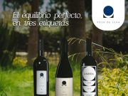 No te pierdas las Vendimias 2025: La Malanca y Pozo de Luna: tradición, innovación y sabor.