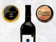 LISTA LA FIESTA DE LA VENDIMIA EN POZO DE LUNA