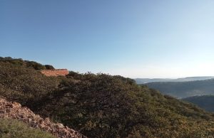 CAMINO REAL DE TIERRA ADENTRO, ITINERARIO CULTURAL DE RELEVANCIA INTERNACIONAL