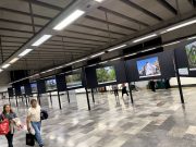 EL MUNDO SURREALISTA DE XILITLA EN EL METRO DE LA CDMX