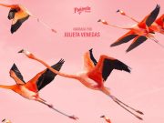 FLAMINGOS: LA VIDA DESPUÉS DEL METIORITO EN CINETECA SLP