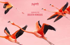 FLAMINGOS: LA VIDA DESPUÉS DEL METIORITO EN CINETECA SLP