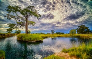 SAN LUIS AVANZA EN CONSERVACIÓN DEL MANANTIAL LOS PEROLES
