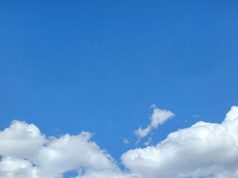 Mezcal Patatús, arte no sólo en la presentación, sino en el proceso y elaboración del espíritu liquido embotellado.