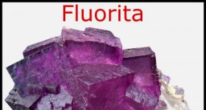 SLP SE CONSOLIDA COMO PILAR DE LA MINERÍA NACIONAL