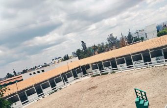 “TIERRA GANADERA” DE FENAPO 2026 REUNIRÁ LO MEJOR DEL CAMPO POTOSINO