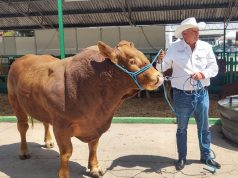 SAN LUIS POTOSÍ ASUME LIDERAZGO AGROPECUARIO EN LA REGIÓN NORESTE