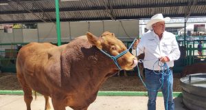 SAN LUIS POTOSÍ ASUME LIDERAZGO AGROPECUARIO EN LA REGIÓN NORESTE