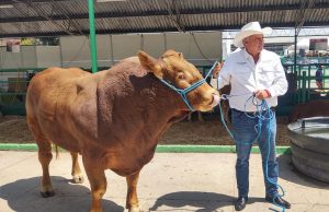 SAN LUIS POTOSÍ ASUME LIDERAZGO AGROPECUARIO EN LA REGIÓN NORESTE