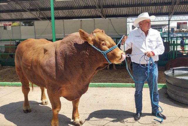 agro