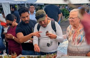 INVITAN AL 3er FESTIVAL DE LAS CACTÁCEAS EN EL MUSEO DEL FERROCARRIL